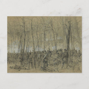 ZIVILER Krieg der USA: Die Wildnis Postkarte