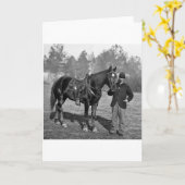 Ziviles Kriegs-Pferd, 1864 Karte (Gelbe Blume)