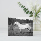 Ziviles Kriegspferd, 1860er Postkarte (Stehend Vorderseite)