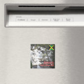 zJM007 JAMAICA, Dunn's River Falls, Amerika, Kühls Magnet (In Situ (Geschirrspüler))