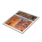 zJO003 PETRA, Jordanien, Fliese (Seite)