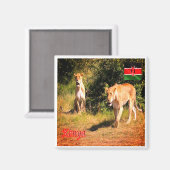 zKE005 KENIA, Löwen, Afrika, Kühlschrank Magnet (Vorderseite/Rückseite)