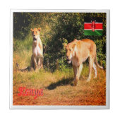 zKE005 KENIA, Löwen, Fliese (Vorderseite)