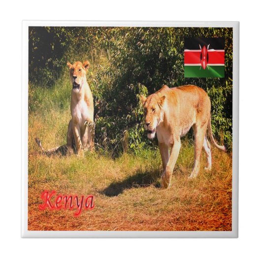 zKE005 KENIA, Löwen, Fliese (Vorderseite)