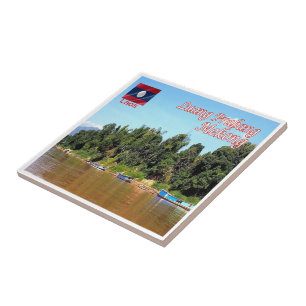 zLA012 MEKONG Luang Prabang, Laos, Asien, Fliese