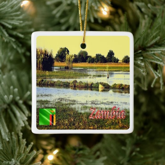 ZM004 ZAMBIA, Swamps Bangweulu, Afrika, Keramikornament (Baum)