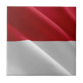 zMC002 MONEGASQUE wavig FLAG, Fürstentum Monaco, Fliese (Vorderseite)
