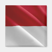 zMC002 MONEGASQUE wavig FLAG, Fürstentum Monaco, Magnet (Vorne)