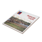 zMN008 KHONGORYN ELS CAMELS, Mongolei, Fliese (Seite)