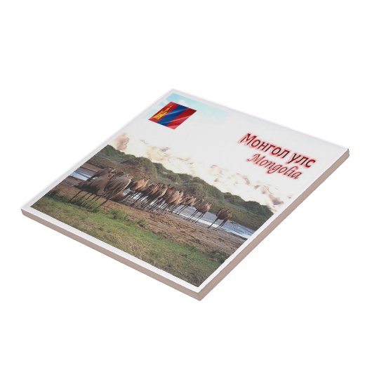 zMN008 KHONGORYN ELS CAMELS, Mongolei, Fliese (Seite)