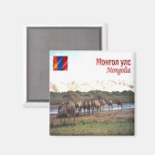zMN008 KHONGORYN ELS CAMELS, Mongolei, Kühlschrank Magnet (Vorderseite/Rückseite)