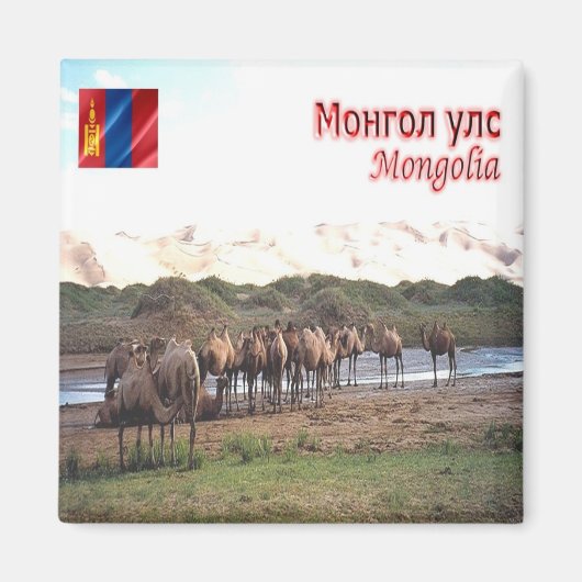 zMN008 KHONGORYN ELS CAMELS, Mongolei, Kühlschrank Magnet (Vorne)