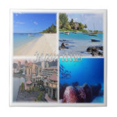 zMU023 MAURITIUS, Mosaik, Afrika, Fliese (Vorderseite)