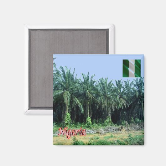 zNG009 NIGERIA, Palmen, Afrika, Kühlschrank Magnet (Vorderseite/Rückseite)