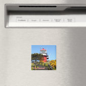 zNL021 VLIELAND Leuchtturm, niederländische Friese Magnet (In Situ (Geschirrspüler))