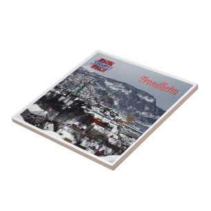 zNO039 TRONDHEIM panorama, Norwegen, Fliese