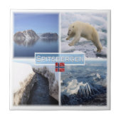 zNO042 SPITSBERGEN, Norwegen, Fliese (Vorderseite)