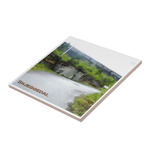 zNO089 SKJEGGEDAL, Norwegen, Fliese (Seite)