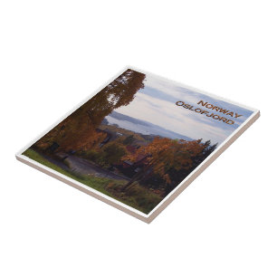 zNO090 OSLOFJORD aus dem norwegischen Holmenkollen Fliese