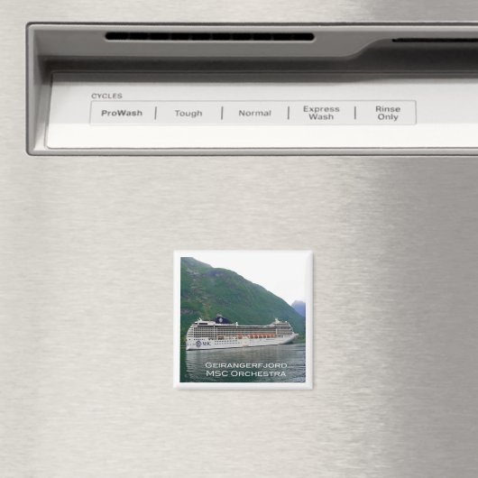 zNO122 GEIRANGERFJORD, MSC Orchestra, Norwegen, Magnet (In Situ (Geschirrspüler))