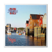 zNO143 VEGA, Norwegen, Fliese (Vorderseite)