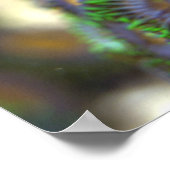 Zoanthid Coral 1 Poster (Ecke)