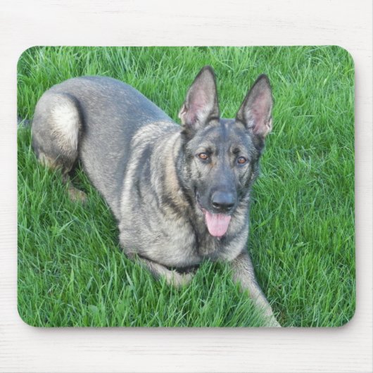 Zobel-Schäferhund Mousepad (Vorne)