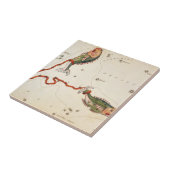 ''Zodia Sign: Pisces'' Keramik Fliese (Seite)