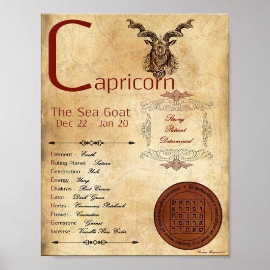 ZODIAC CAPRICORN Geburtsname Unterschrift POSTER (Vorne)