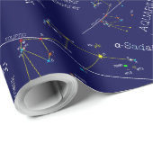 Zodiac Constellation Aquarius Geschenkpapier (Rolleneckpunkt)