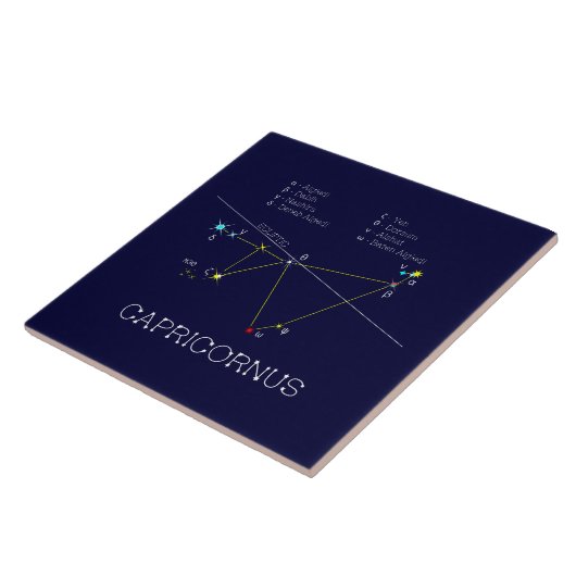 Zodiac Constellation Capricornus Fliese (Seite)