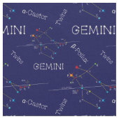 Zodiac Constellation Gemini Stoff (Nahaufnahme)
