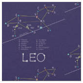 Zodiac Constellation Leo Stoff (Nahaufnahme)
