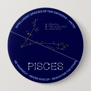 Zodiac Constellation Pisces Button