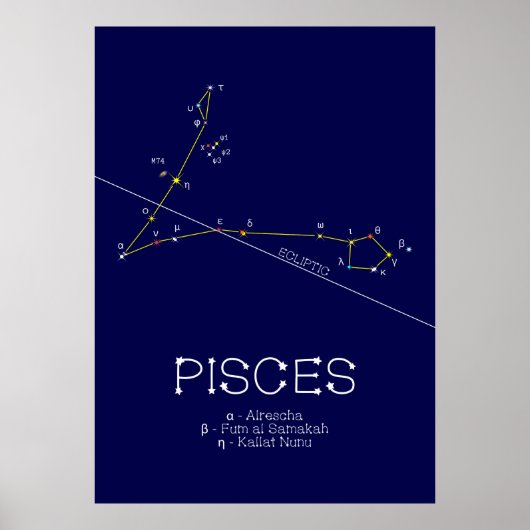 Zodiac Constellation Pisces Poster (Vorne)