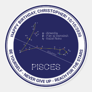 Zodiac Constellation Pisces Runder Aufkleber