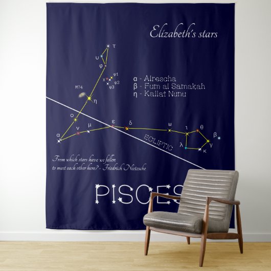Zodiac Constellation Pisces Wandteppich (Beispiel)