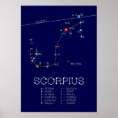 Zodiac Constellation Scorpius Poster (Vorne)