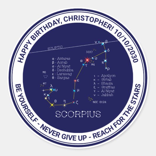 Zodiac Constellation Scorpius Runder Aufkleber (Vorderseite)