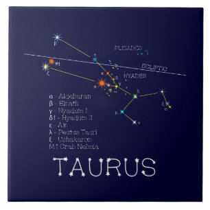 Zodiac Constellation Taurus Fliese