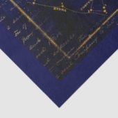 Zodiac Constellations Galaxy Seidenpapier (Ausschnitt)