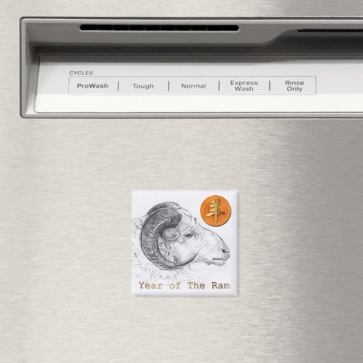 Zodiac Magnet (In Situ (Geschirrspüler))