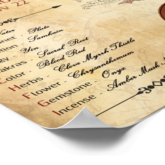 ZODIAC SCORPIO GeburtssignaturPOSTER Poster (Ecke)