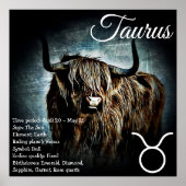 Zodiac Sign Bull Symbol Taurus Astrologie Poster (Vorne)