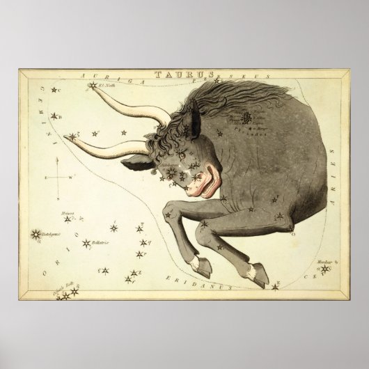 "Zodiac Sign" Poster/Print "Taurus" Poster (Vorne)