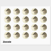 Zodiac-Zeichen: Sticker (Blatt)