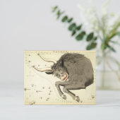 Zodiac-Zeichen: Taurus-Postkarten Postkarte (Stehend Vorderseite)