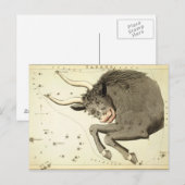 Zodiac-Zeichen: Taurus-Postkarten Postkarte (Vorne/Hinten)