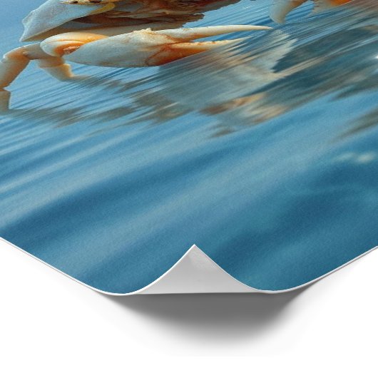 Zodiakarzinom Poster (Ecke)