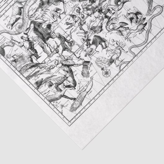 Zodiakkonstellationen Schwarz-weißes Gewebepapier Seidenpapier (Ausschnitt)